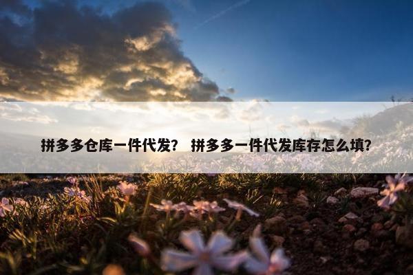 拼多多仓库一件代发？ 拼多多一件代发库存怎么填？