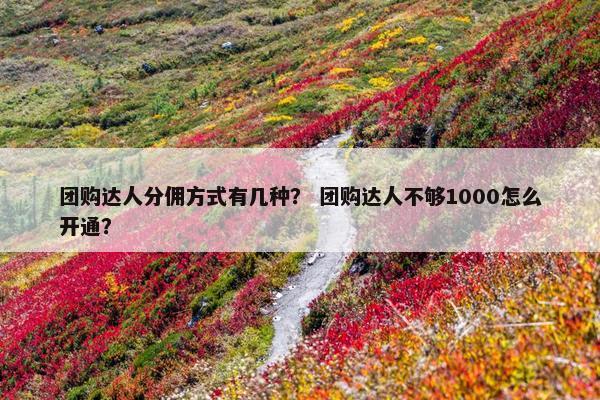 团购达人分佣方式有几种？ 团购达人不够1000怎么开通？
