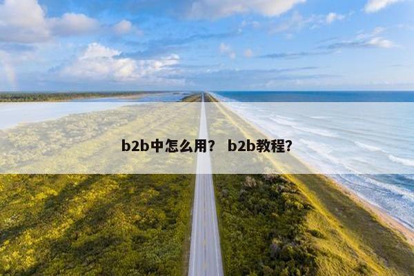 b2b中怎么用？ b2b教程？