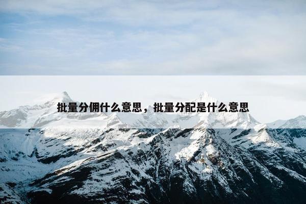批量分佣什么意思，批量分配是什么意思