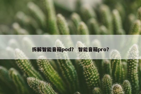 拆解智能音箱pod？ 智能音箱pro？