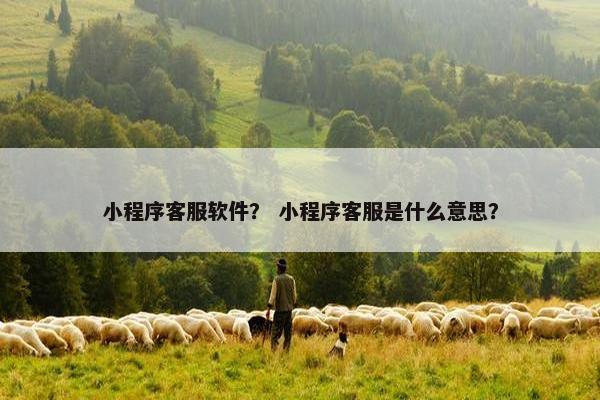 小程序客服软件？ 小程序客服是什么意思？