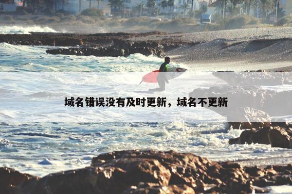 域名错误没有及时更新，域名不更新