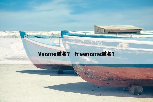 Vname域名？ freename域名？