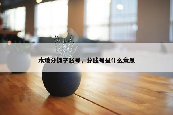 本地分佣子账号，分账号是什么意思