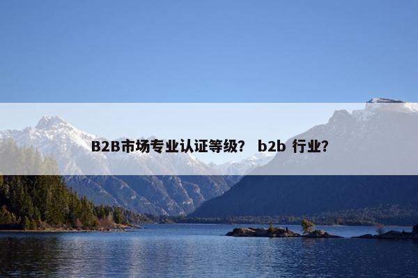 B2B市场专业认证等级？ b2b 行业？