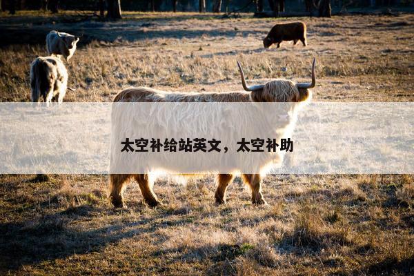 太空补给站英文，太空补助