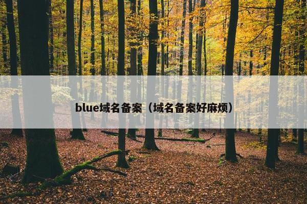 blue域名备案（域名备案好麻烦）