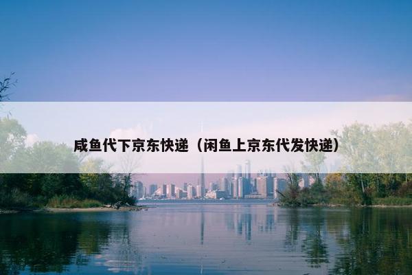 咸鱼代下京东快递（闲鱼上京东代发快递）