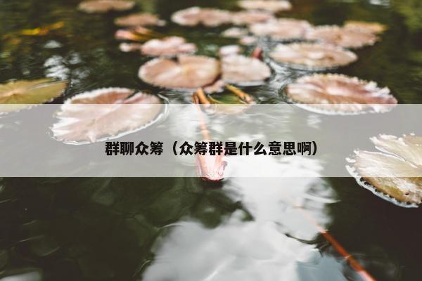 群聊众筹（众筹群是什么意思啊）