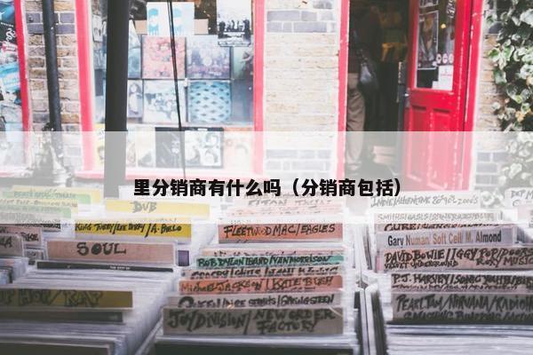 里分销商有什么吗（分销商包括）