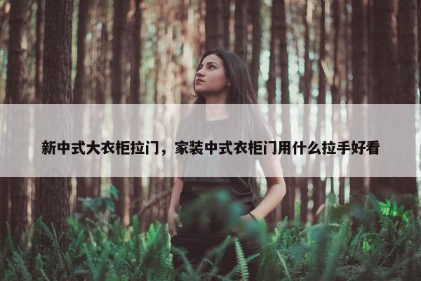 新中式大衣柜拉门，家装中式衣柜门用什么拉手好看