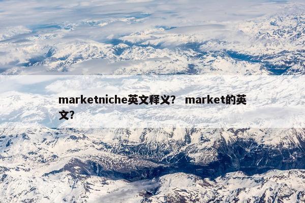 marketniche英文释义？ market的英文？