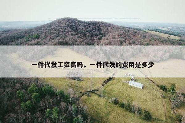 一件代发工资高吗，一件代发的费用是多少