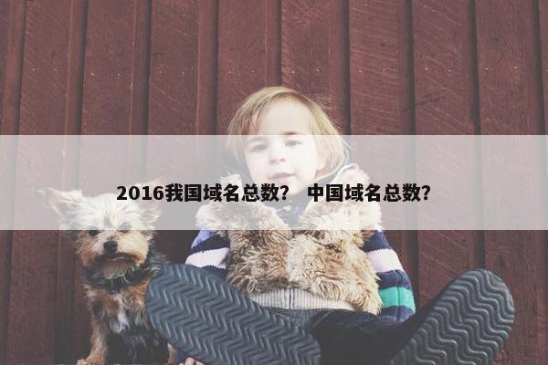 2016我国域名总数？ 中国域名总数？
