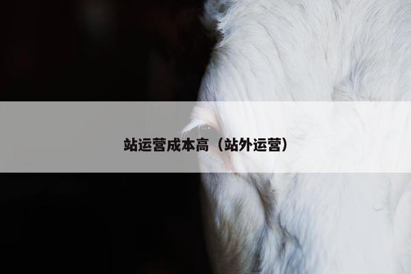 站运营成本高（站外运营）