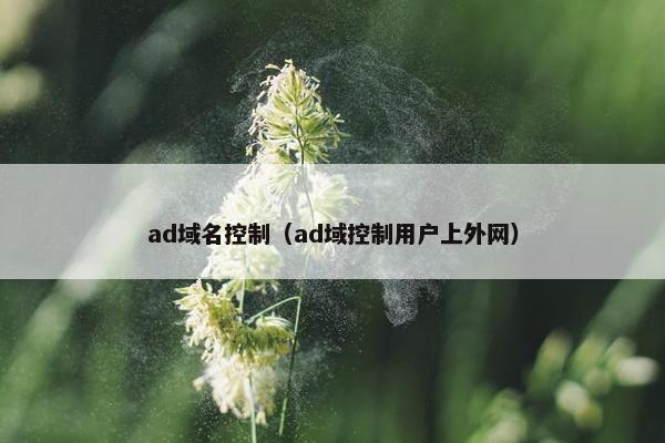 ad域名控制（ad域控制用户上外网）