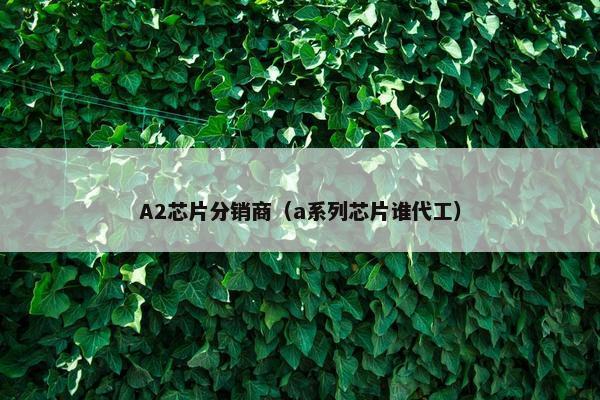 A2芯片分销商（a系列芯片谁代工）