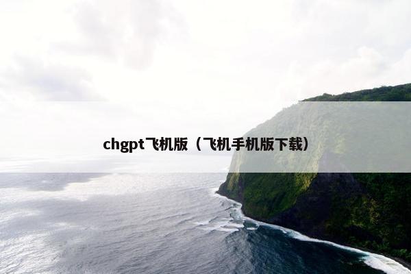 chgpt飞机版（飞机手机版下载）