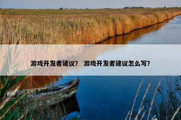 游戏开发者建议？ 游戏开发者建议怎么写？