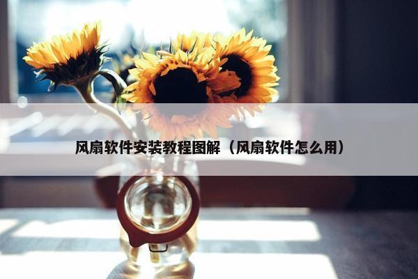风扇软件安装教程图解（风扇软件怎么用）