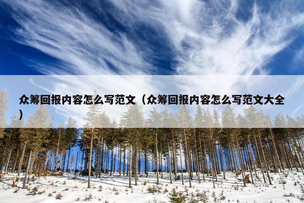 众筹回报内容怎么写范文（众筹回报内容怎么写范文大全）