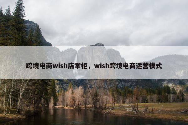 跨境电商wish店掌柜，wish跨境电商运营模式