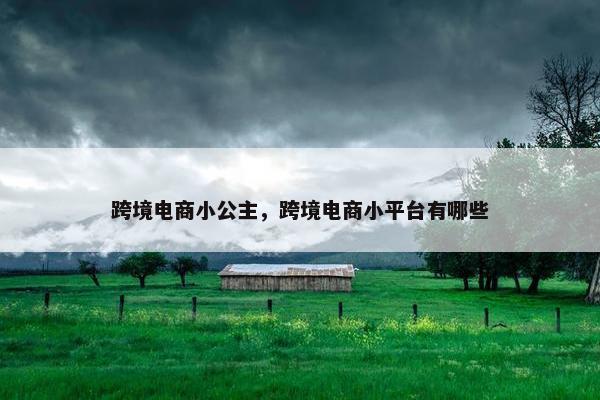 跨境电商小公主，跨境电商小平台有哪些