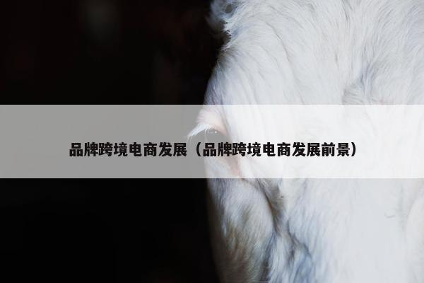 品牌跨境电商发展（品牌跨境电商发展前景）