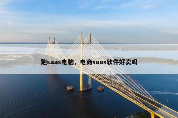 跑saas电脑，电商saas软件好卖吗