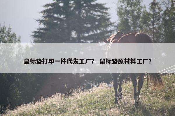 鼠标垫打印一件代发工厂？ 鼠标垫原材料工厂？