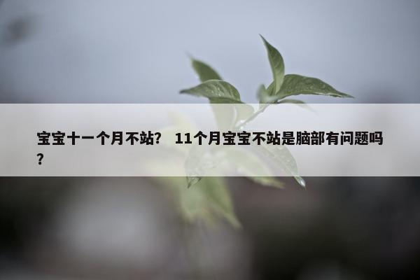 宝宝十一个月不站？ 11个月宝宝不站是脑部有问题吗？