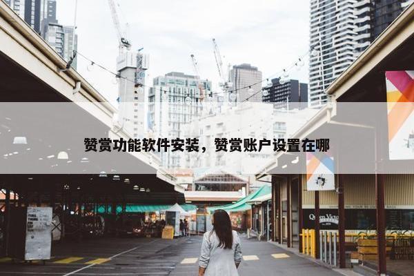 赞赏功能软件安装，赞赏账户设置在哪