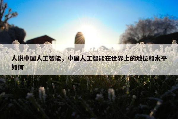 人说中国人工智能，中国人工智能在世界上的地位和水平如何
