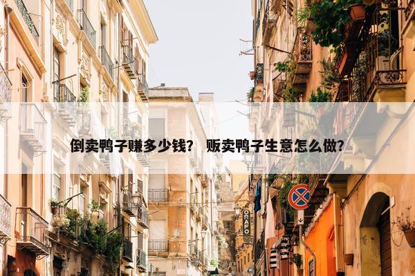 倒卖鸭子赚多少钱？ 贩卖鸭子生意怎么做？