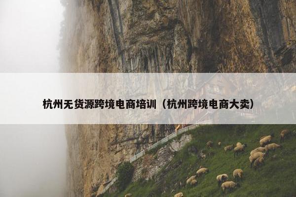 杭州无货源跨境电商培训（杭州跨境电商大卖）