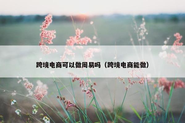 跨境电商可以做周易吗（跨境电商能做）