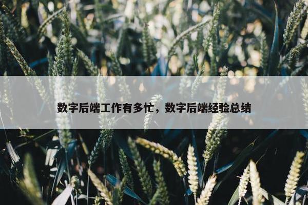 数字后端工作有多忙，数字后端经验总结