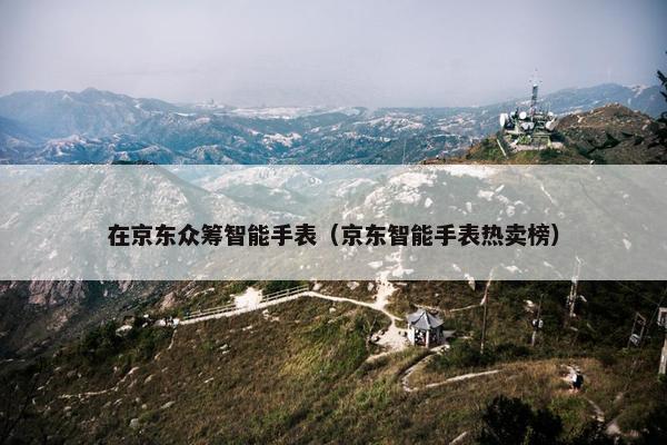 在京东众筹智能手表（京东智能手表热卖榜）