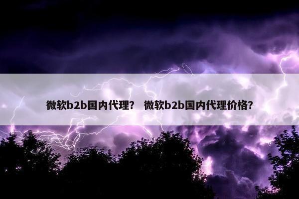微软b2b国内代理？ 微软b2b国内代理价格？