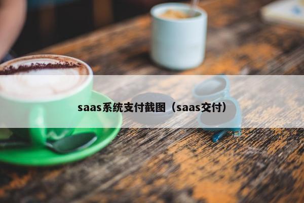 saas系统支付截图（saas交付）