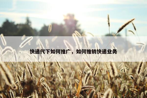 快递代下如何推广，如何推销快递业务