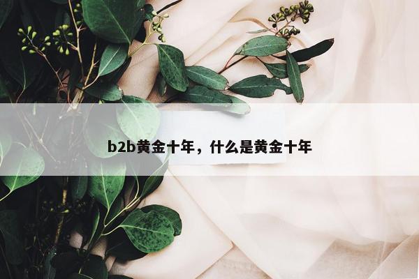 b2b黄金十年，什么是黄金十年