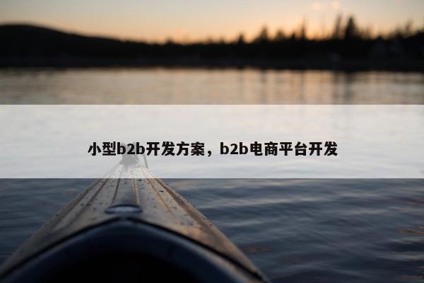 小型b2b开发方案，b2b电商平台开发