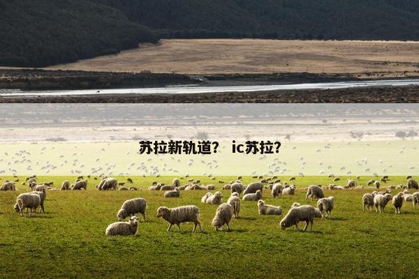 苏拉新轨道？ ic苏拉？