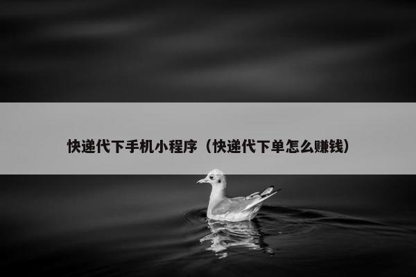 快递代下手机小程序（快递代下单怎么赚钱）