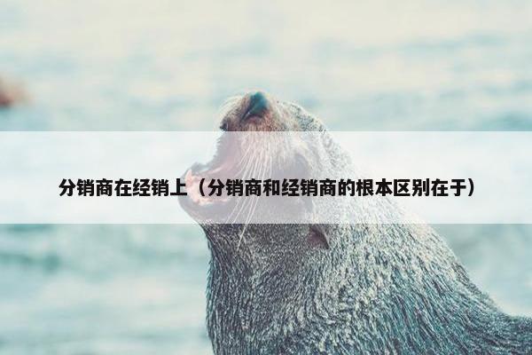 分销商在经销上（分销商和经销商的根本区别在于）