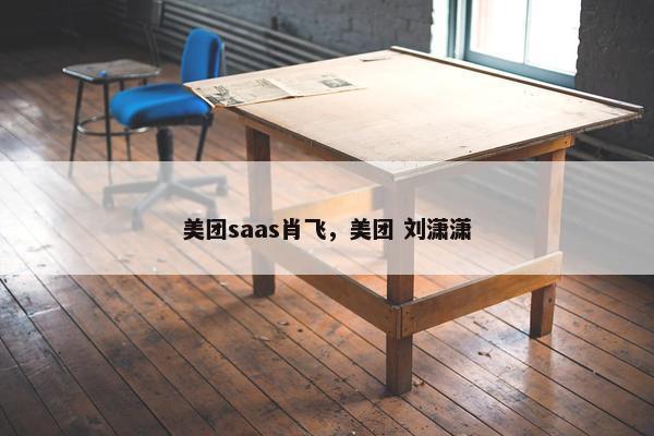 美团saas肖飞，美团 刘潇潇