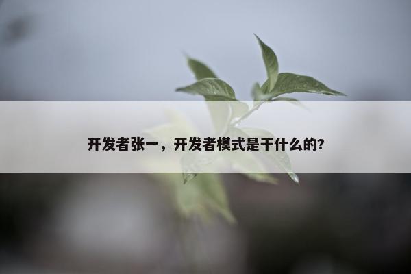 开发者张一，开发者模式是干什么的?