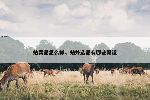 站卖品怎么样，站外选品有哪些渠道